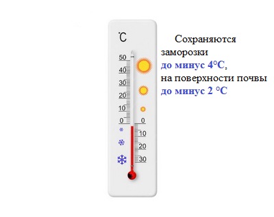 ШТОРМОВОЕ ПРЕДУПРЕЖДЕНИЕ 30 мая по территории Алтайского края сохраняются заморозки до минус 4 °С, 31 мая на поверхности почвы до минус 2 °С..